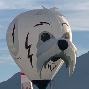 Meet your Posher, Leila